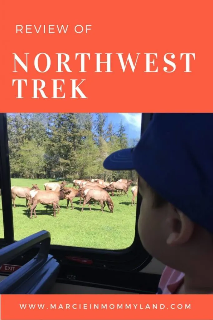Review of Northwest Trek