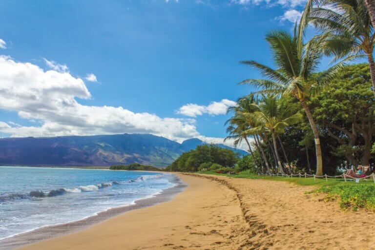Things to do in Maui with toddlers on a Hawaiian vacation with kids.