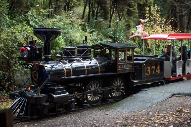 7 Tips to Enjoy Bright Nights at Stanley Park in Vancouver, BC
