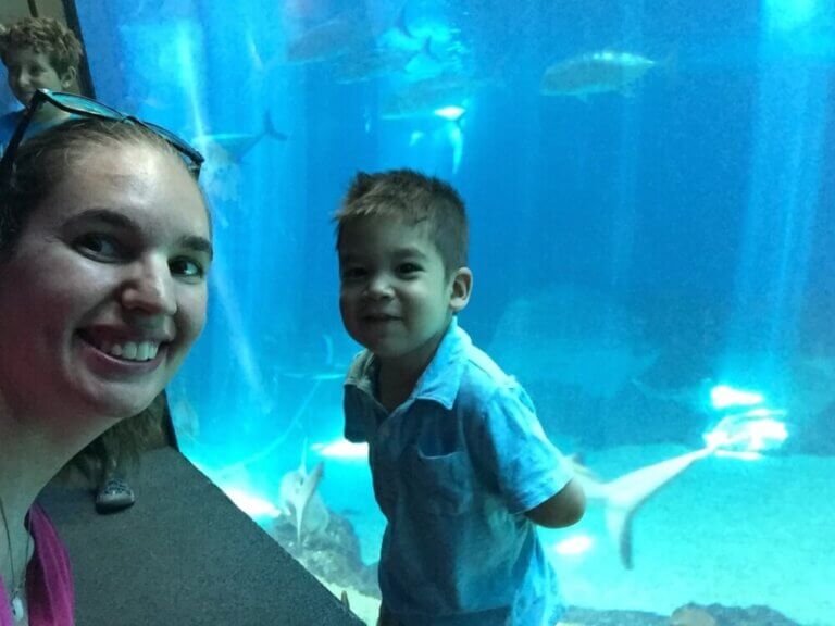 Maui Ocean Center: Essential Tips and Honest Review