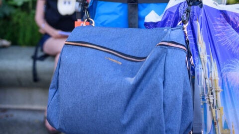 What to Pack for Disneyland with a Baby (From a Mom Who’s Done This 20+ Times)