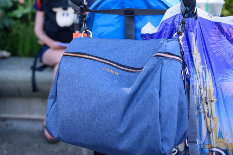 Lassig Diaper Bag in Disneyland