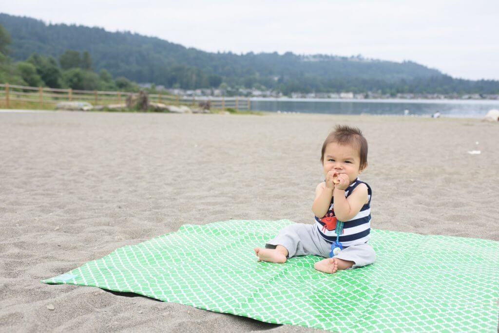 Posh Play Mat