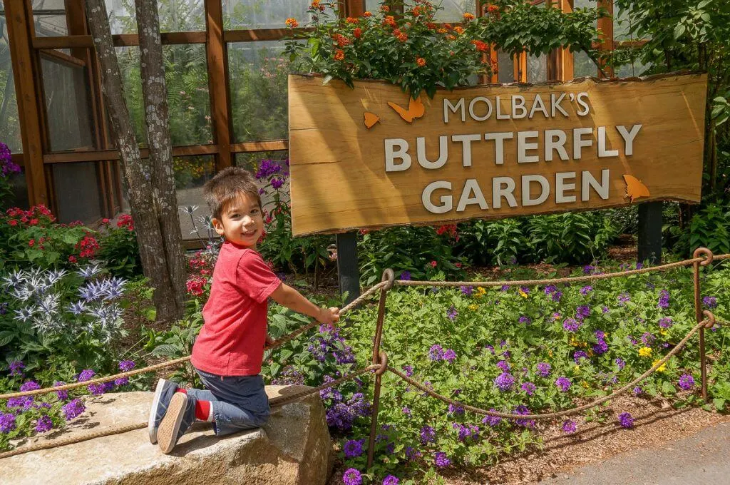 Molbak's Butterfly Garden at Woodland Park Zoo