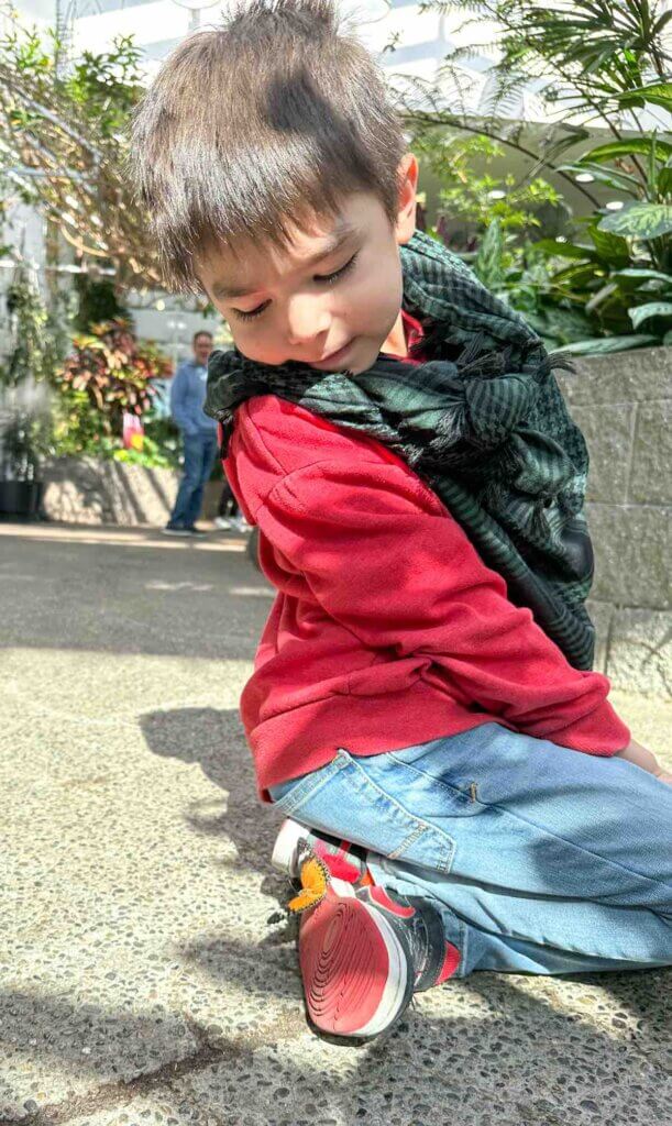 Image of a boy with a butterfly on his shoe