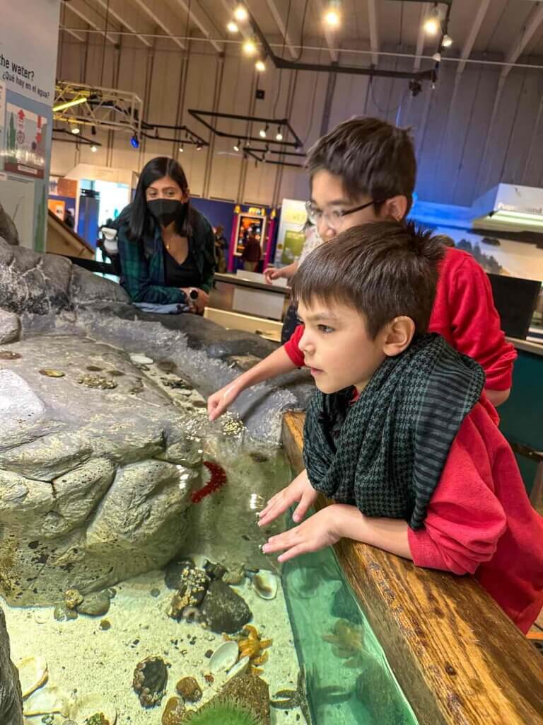 Image of two boys at the touch tanks at Pacific Science Center