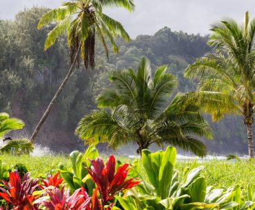 Complete Guide to Maui with Kids