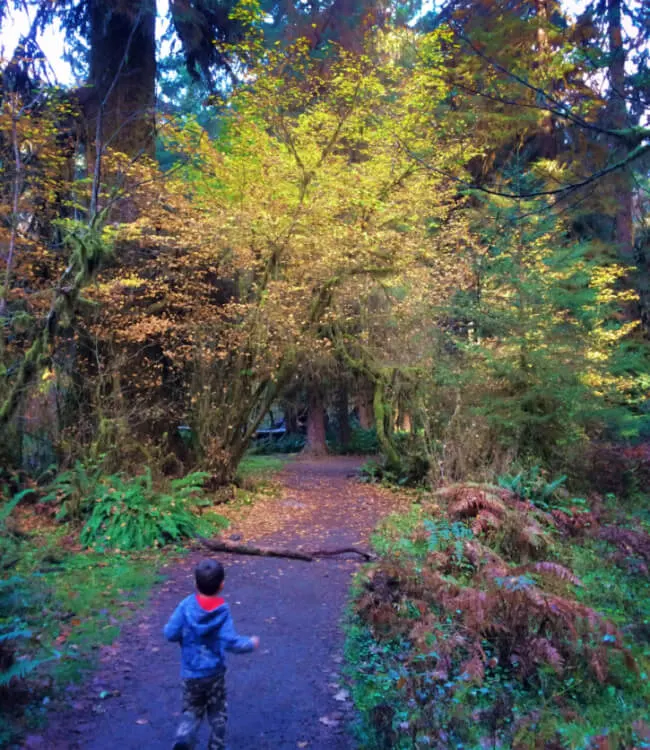 Photo of a boy running at Hoh Rainforest in the Olympic National Park in Washington State #pnw #pacificnorthwest #hohrainforest #olympicnationalpark
