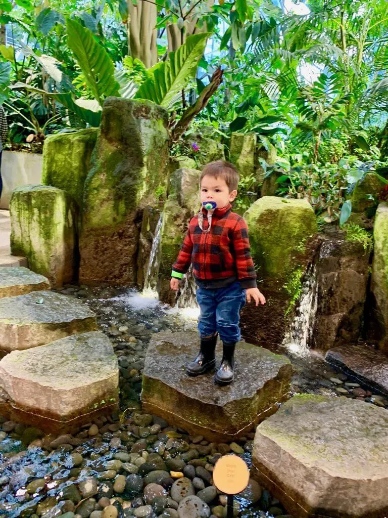 Photo of a toddler at the Seattle Amazon Spheres in South Lake Union #amazonspheres #biosphere #seattle