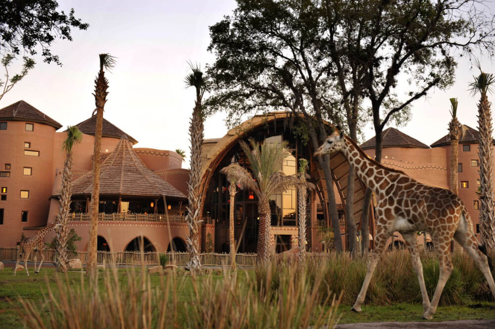 Kidani Village at Disney's Animal Kingdom Lodge at Walt Disney World in Orlando, Florida #kidanivillage #waltdisneyworld #disneyworld #animalkingdom