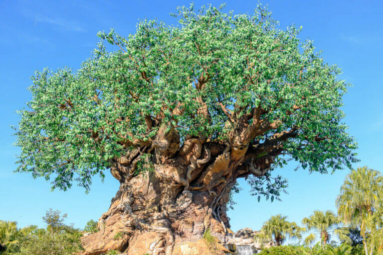 Are you planning a trip to Disney Animal Kingdom Park at Walt Disney World? Find out what to do in one day. #animalkingdom #waltdisneyworld #treeoflife | Disney Animal Kingdom Park with Kids tips featured by top Disney blogger, Marcie in Mommyland