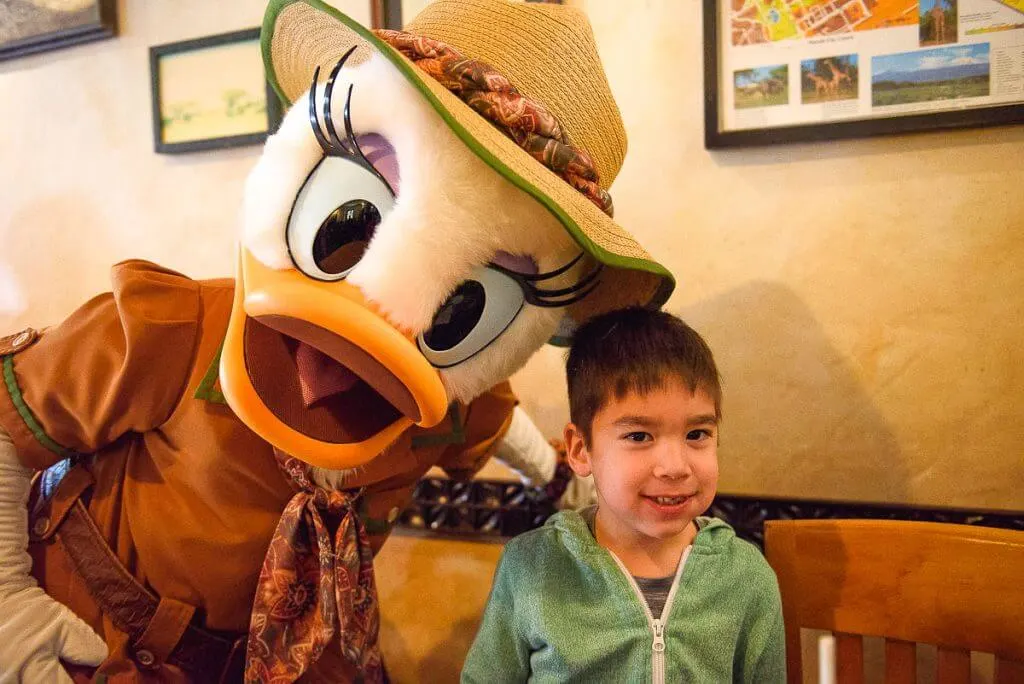 Safari Daisy greets my son during our Tusker House character breakfast at Walt Disney World's Animal Kingdom in the Harambe Village. #daisy #waltdisneyworld #disneyworld #tuskerhouse #daisyduck #characterbreakfast
