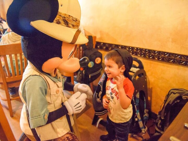 Tusker House Character Breakfast Review: Dining at Disney’s Animal Kingdom