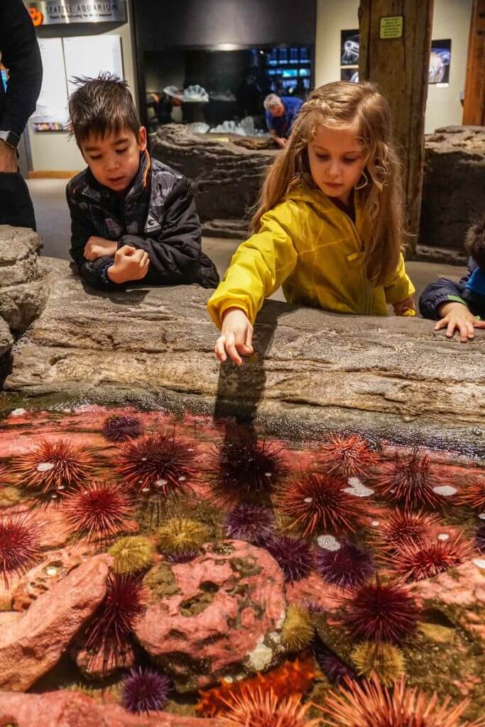 The kids loved going behind the scenes on this Seattle Aquarium tour where they got to feed sea urchins! #seaurchins #seattleaquarium #visitseattle