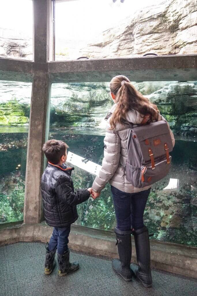 Seattle moms love heading to the Seattle Aquarium for play dates.