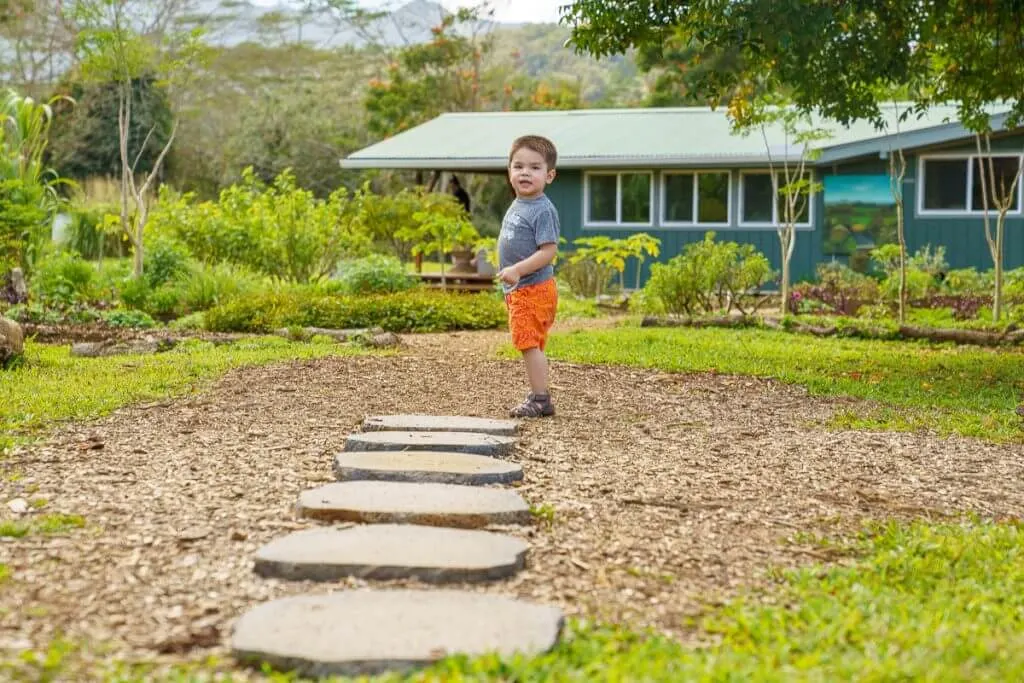 Kauai Farmacy has impressive grounds with places for kids to explore and run around.