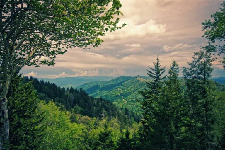 Explore the Great Smoky Mountains with RV Share |