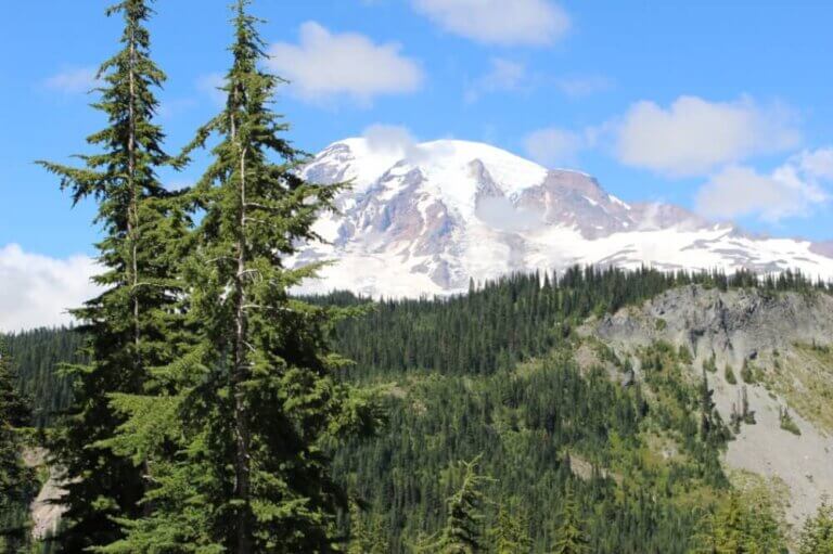 Heading to Mount Rainier with Kids? Find out the best kid-friendly things to do in Mount Rainier for your family.