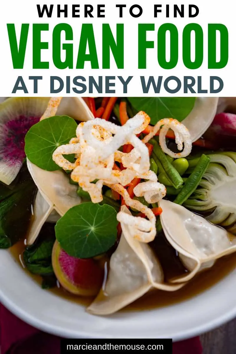 The Best Vegan Food at Walt Disney World featured by top US Disney blogger, Marcie and the Mouse | Looking for vegan restaurants at Walt Disney World? Find out the yummiest plant-based foods at Walt Disney World Resort.