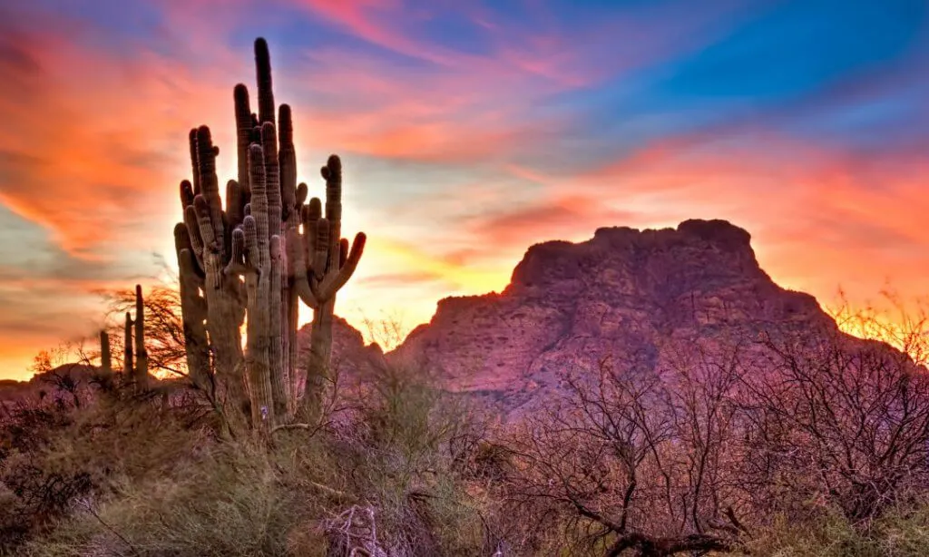 The Best Warm Places to Visit in December in the USA featured by top US travel blogger, Marcie in Mommyland: The Saguaro in Scottsdale, Arizona.