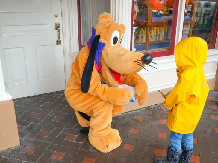 Check out these tips for visiting Disneyland in the rain by top Disney blog Marcie in Mommyland. Image of a boy meeting Pluto while wearing a rain jacket
