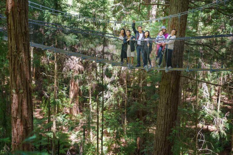 Redwoods Tree Walk in Rotorua, New Zealand travel guide featured by top family travel blogger, Marcie in Mommyland: Group of people posing on the Rotorua Tree Walk