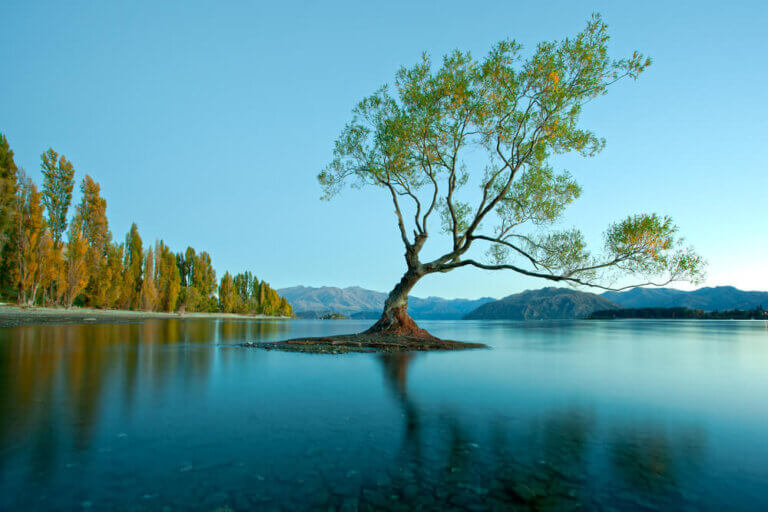 Top 12 Things to do in Queenstown with Kids featured by top family travel blogger, Marcie in Mommyland