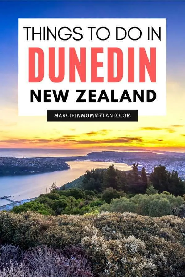 The Best Things to do in Dunedin New Zealand featured by top family travel blogger, Marcie in Mommyland