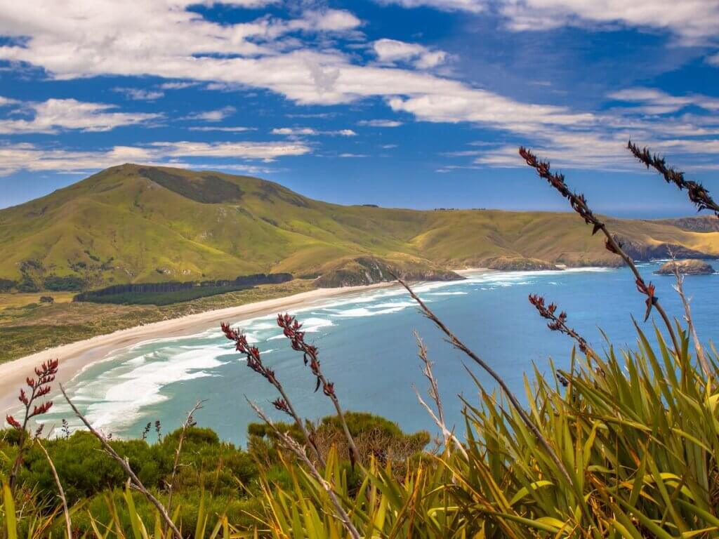 Coastal view of Wickliffe bay Pacific coast of New Zealand, Otago Peninsula