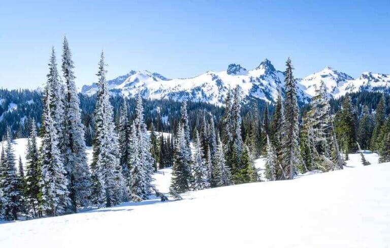 Best Winter Weekend Getaways from Seattle featured by top Seattle travel blogger, Marcie in Mommyland: Image of Mount Rainier National Park in Winter