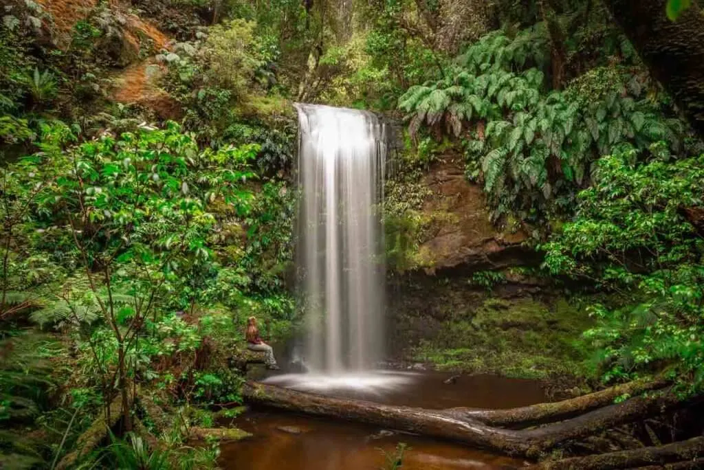 One of the best places to visit in New Zealand South Island  is The Catlins. Image of a beautiful waterfall surrounded by lush green plants.