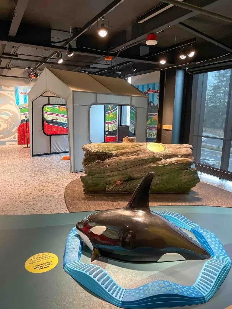 Is the Burke Museum in Seattle for kids? Check out this cute indoor play area perfect for little ones. Image of an indoor play area with a climbable orca, a log, and a tent.