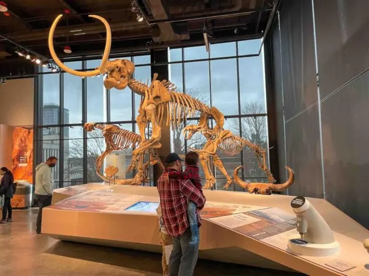 Find out how to visit the Burke Museum in Seattle with kids by top Seattle blogger Marcie in Mommyland. Image of a dad and son in front of a dinosaur fossible.