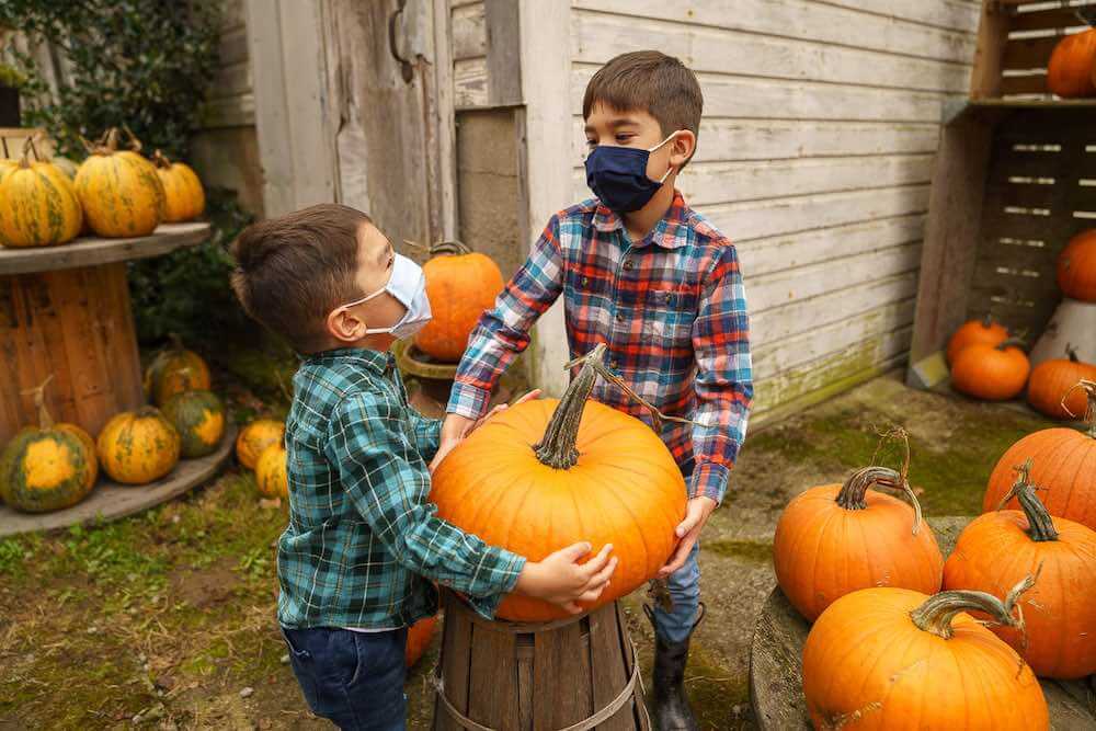 Image of two boys wearing plaid carrying a big pumpkin at Gordon Skagit Farms, a pumpkin patch in Washington State.