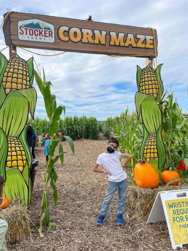 Kids will LOVE Stocker Farms Pumpkin Patch in Snohomish, WA (2023)