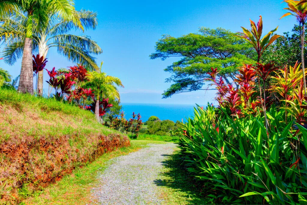 Image of a tropical botanical garden with the ocean in the background.