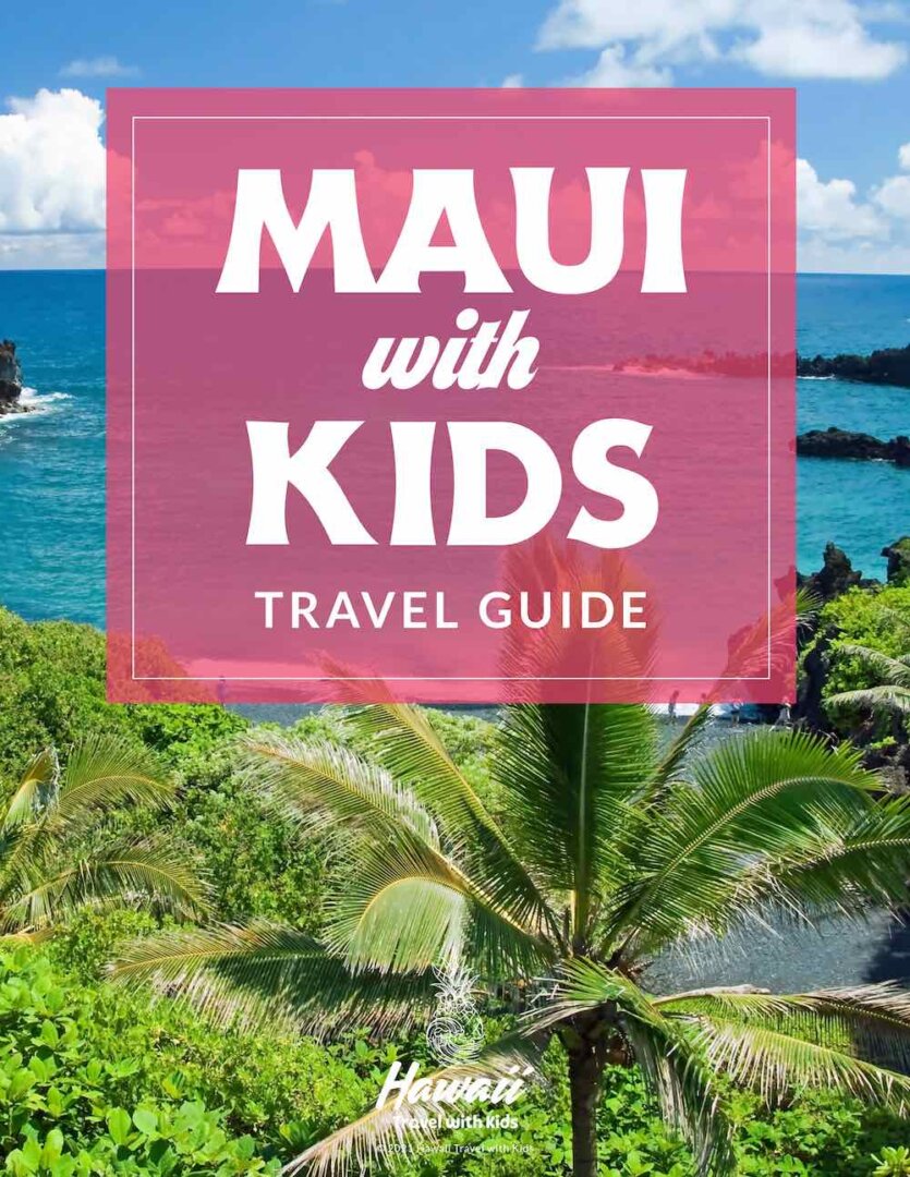 25 Things to do on the Big Island with Kids (2024)