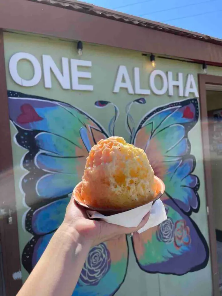 Image of a big shave ice in a bowl in front of a painting of butterfly wings.