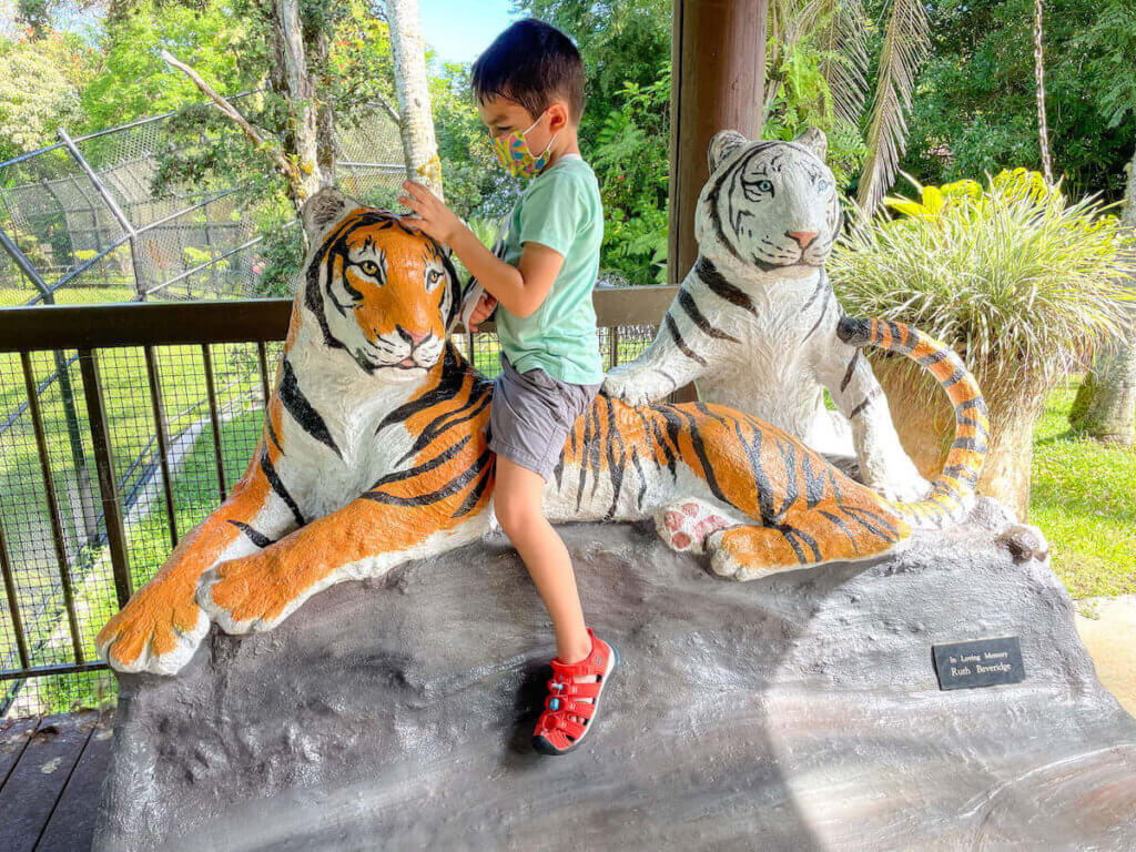 Image of a boy sitting on tiger statues at the Panaewa Rainforest Zoo in Hawaii.