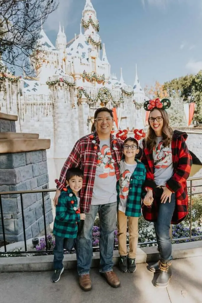 Image of a family posing for a photo at the Disneyland Castle during Christmas