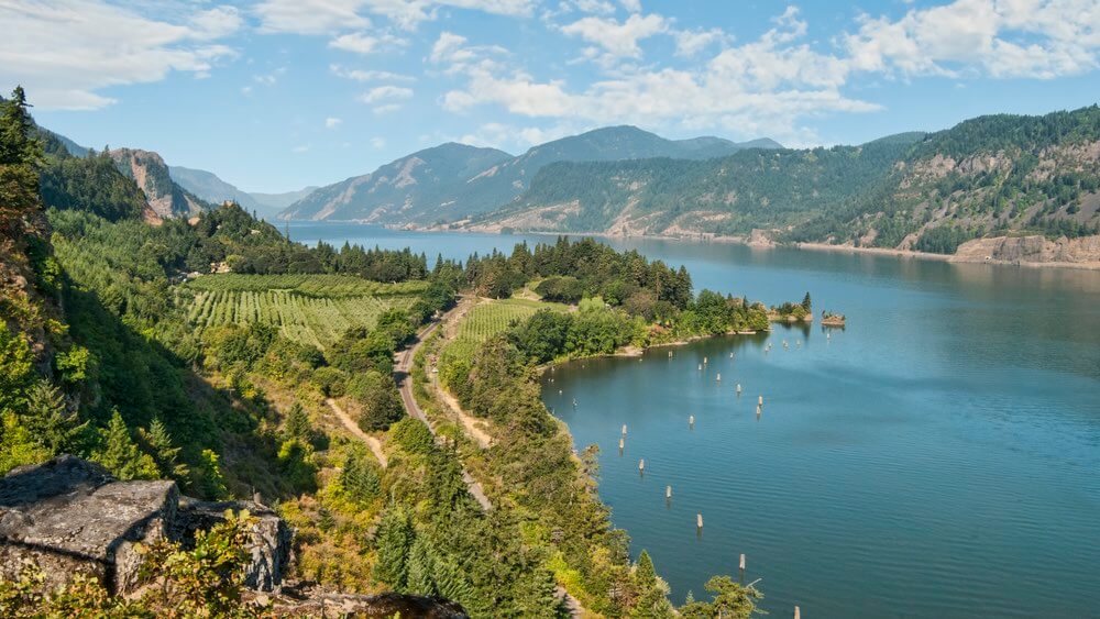 Scenic vineyard & orchards in the Columbia River Gorge.