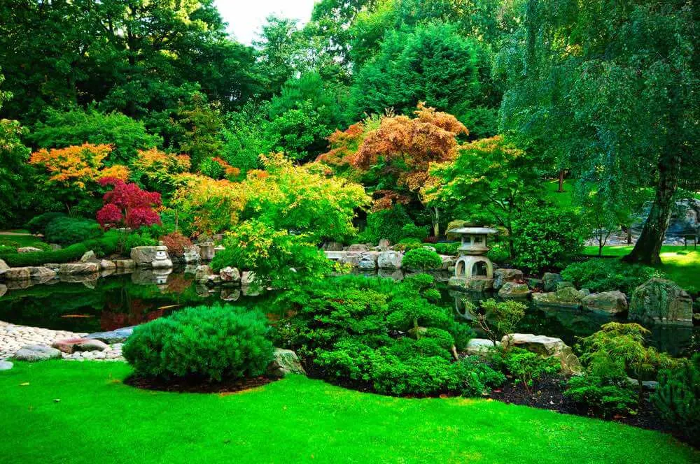 Holland Park's Kyoto Garden in London.
