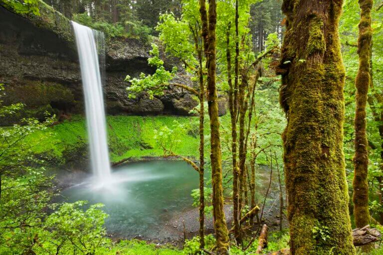 Check out the most beautiful places in Oregon recommended by top Seattle blog Marcie in Mommyland. Image of The South Falls in the Silver Falls State Park, Oregon, USA.