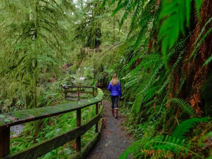 Check out this list of the best Seattle day trips from top Seattle blog Marcie in Mommyland. Image of a woman hiking in the Hoh National Rainforest