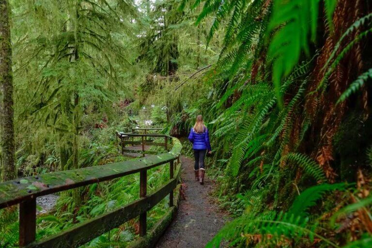 Check out this list of the best Seattle day trips from top Seattle blog Marcie in Mommyland. Image of a woman hiking in the Hoh National Rainforest