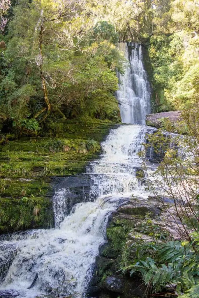 Mclean Falls, Catlins, South Island, New Zealand October shot