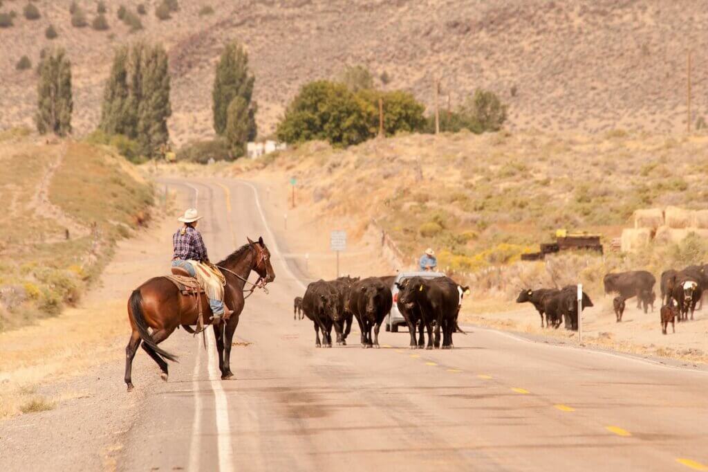 Cowboys along the Outback Scenic Byway in Oregon.