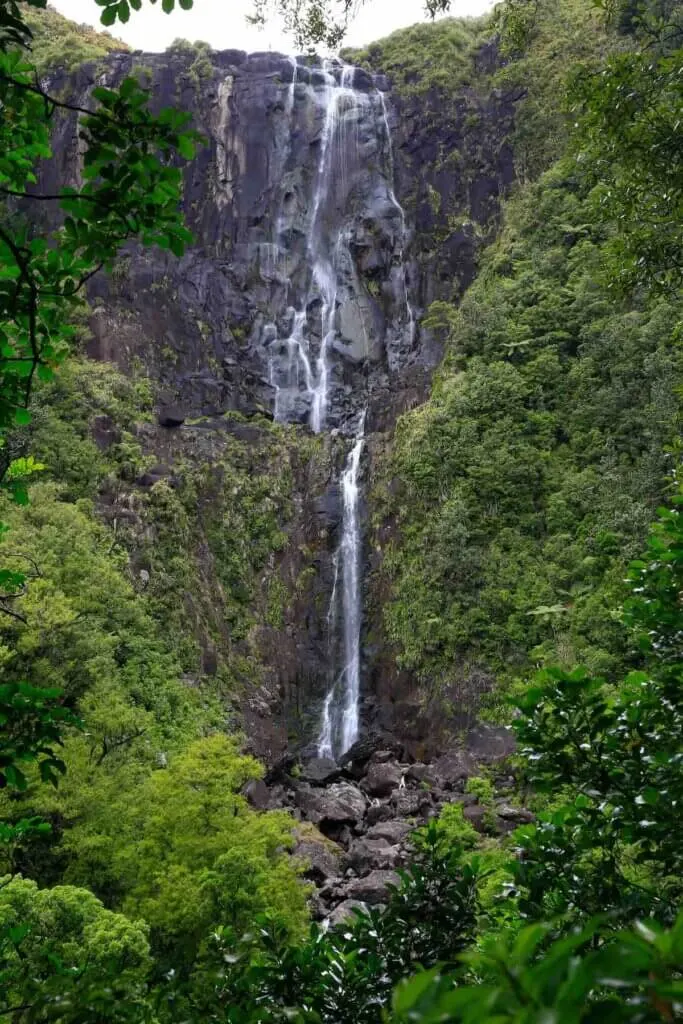 Wairere Falls waterfall and surrounding forest in Wairere Falls Scenic Reserve, New Zealand. View of waterfall from viewing platform showing area below waterfall.