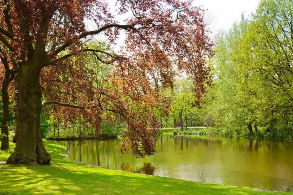 Image of Vondel park - famouse location of  Amsterdam, Holland