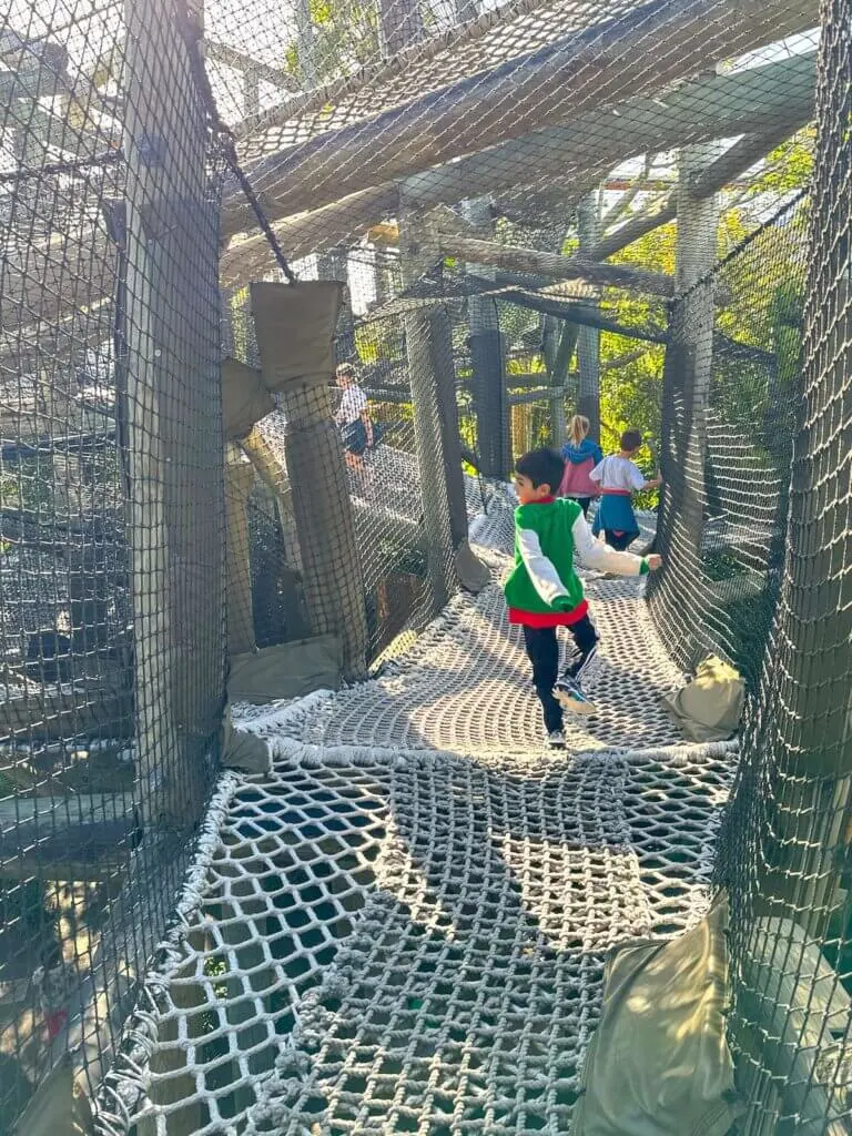 Image of a boy running on a rope bridge at Camp Jurassic at Universal's Islands of Adventure. Photo credit: Marcie Cheung